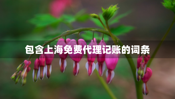 包含上海免費代理記賬的詞條