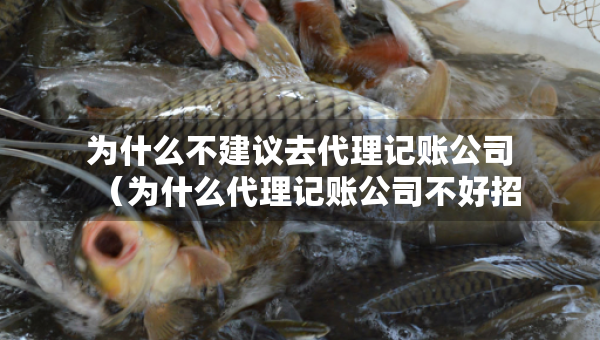 為什么不建議去代理記賬公司（為什么代理記賬公司不好招人）