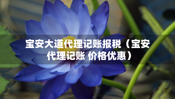 寶安大道代理記賬報(bào)稅（寶安 代理記賬 價(jià)格優(yōu)惠）