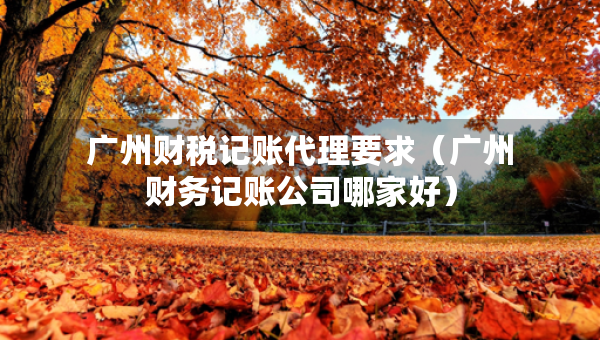廣州財稅記賬代理要求（廣州財務(wù)記賬公司哪家好）