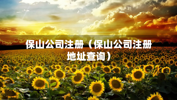 保山公司注冊(cè)（保山公司注冊(cè)地址查詢）