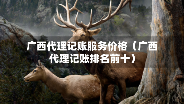 廣西代理記賬服務(wù)價格（廣西代理記賬排名前十）