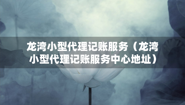 龍灣小型代理記賬服務(wù)（龍灣小型代理記賬服務(wù)中心地址）