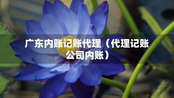 廣東內(nèi)賬記賬代理（代理記賬公司內(nèi)賬）