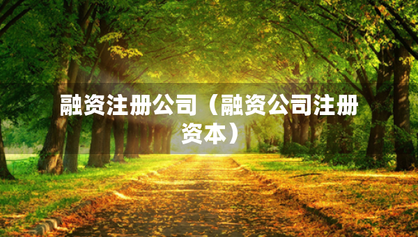 融資注冊(cè)公司（融資公司注冊(cè)資本）