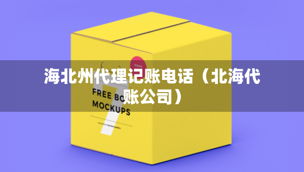 海北州代理記賬電話（北海代賬公司）
