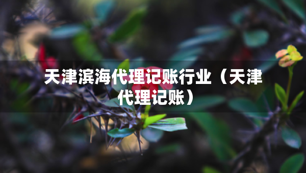 天津?yàn)I海代理記賬行業(yè)（天津 代理記賬）