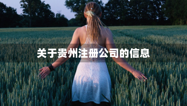 關于貴州注冊公司的信息