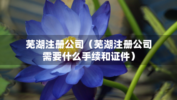 蕪湖注冊(cè)公司（蕪湖注冊(cè)公司需要什么手續(xù)和證件）