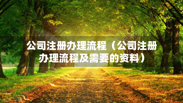 公司注冊辦理流程（公司注冊辦理流程及需要的資料）