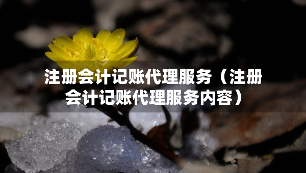 注冊(cè)會(huì)計(jì)記賬代理服務(wù)（注冊(cè)會(huì)計(jì)記賬代理服務(wù)內(nèi)容）