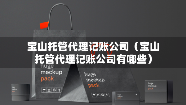 寶山托管代理記賬公司（寶山托管代理記賬公司有哪些）