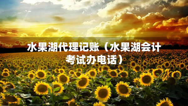 水果湖代理記賬（水果湖會計考試辦電話）