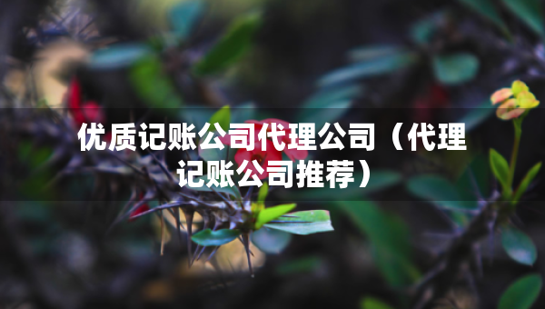 優(yōu)質(zhì)記賬公司代理公司（代理記賬公司推薦）