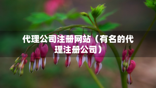 代理公司注冊網站（有名的代理注冊公司）