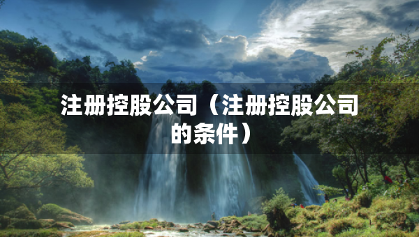 注冊控股公司（注冊控股公司的條件）