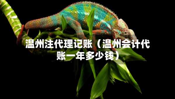 溫州注代理記賬（溫州會計(jì)代賬一年多少錢）