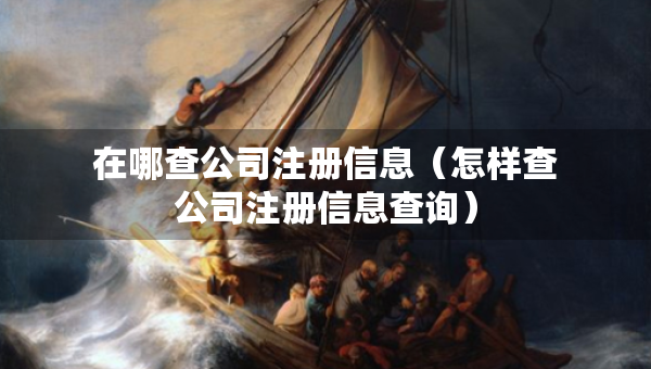 在哪查公司注冊(cè)信息（怎樣查公司注冊(cè)信息查詢(xún)）