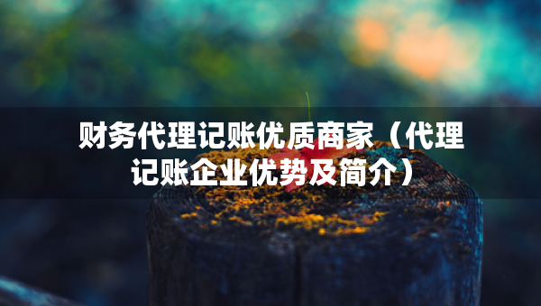 財(cái)務(wù)代理記賬優(yōu)質(zhì)商家（代理記賬企業(yè)優(yōu)勢(shì)及簡(jiǎn)介）