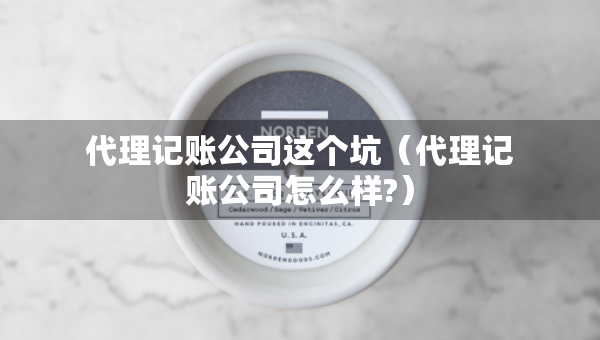 代理記賬公司這個(gè)坑（代理記賬公司怎么樣?）