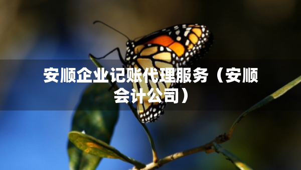 安順企業(yè)記賬代理服務(wù)（安順會(huì)計(jì)公司）