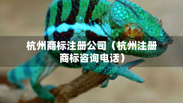 杭州商標注冊公司（杭州注冊商標咨詢電話）
