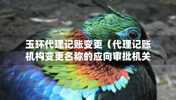 玉環(huán)代理記賬變更（代理記賬機(jī)構(gòu)變更名稱的應(yīng)向?qū)徟鷻C(jī)關(guān)提交什么）