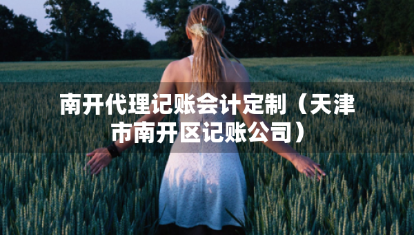 南開代理記賬會(huì)計(jì)定制（天津市南開區(qū)記賬公司）