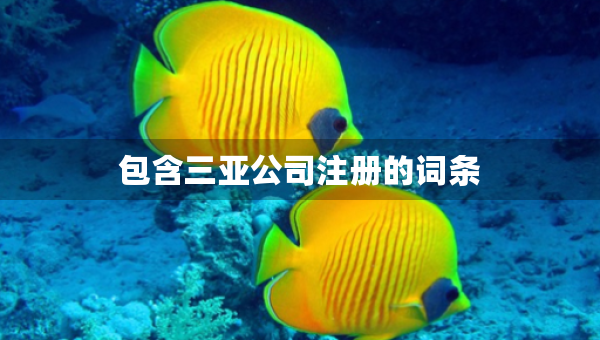 包含三亞公司注冊(cè)的詞條