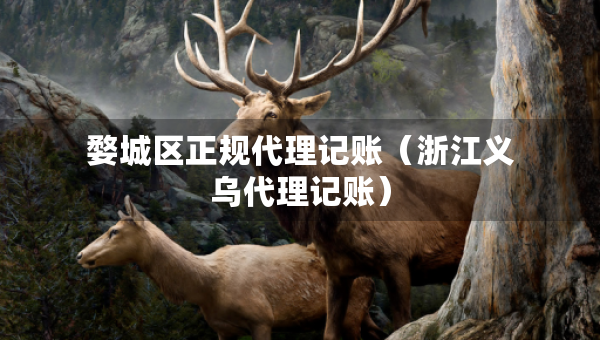 婺城區(qū)正規(guī)代理記賬（浙江義烏代理記賬）