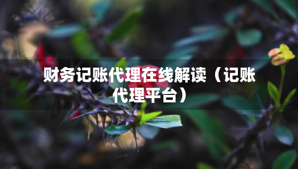 財務記賬代理在線解讀（記賬代理平臺）