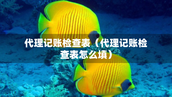 代理記賬檢查表（代理記賬檢查表怎么填）