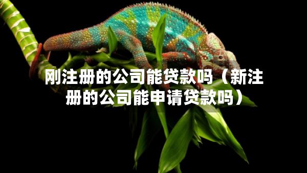 剛注冊的公司能貸款嗎（新注冊的公司能申請貸款嗎）