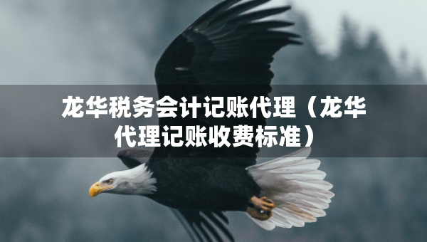 龍華稅務(wù)會(huì)計(jì)記賬代理（龍華代理記賬收費(fèi)標(biāo)準(zhǔn)）