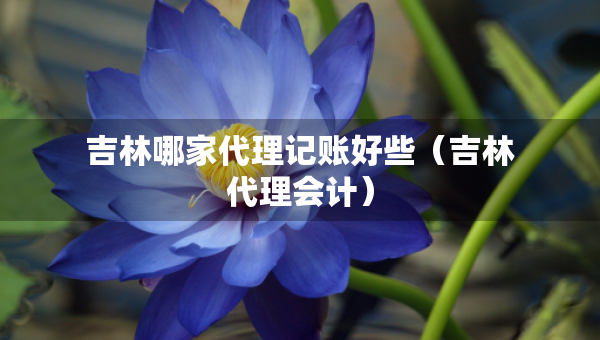 吉林哪家代理記賬好些（吉林代理會計(jì)）