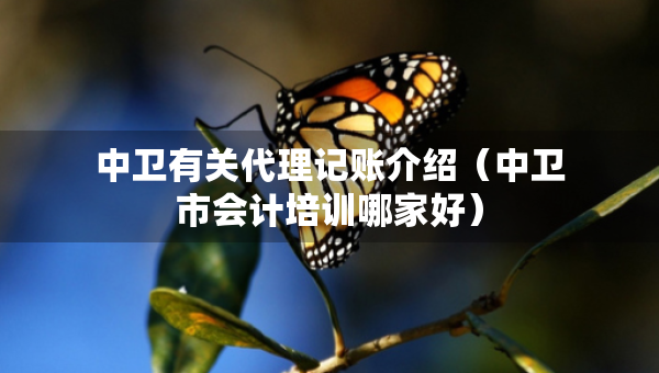 中衛(wèi)有關(guān)代理記賬介紹（中衛(wèi)市會(huì)計(jì)培訓(xùn)哪家好）