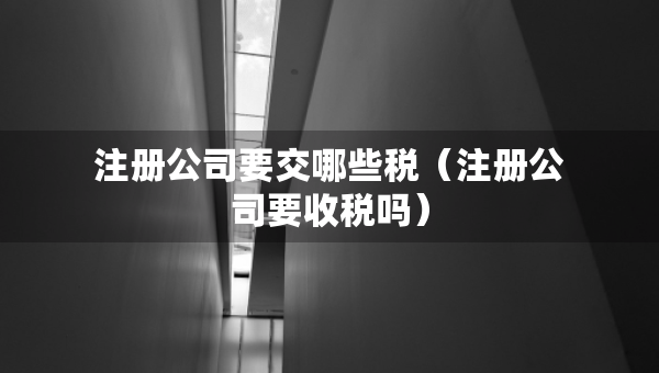 注冊公司要交哪些稅（注冊公司要收稅嗎）
