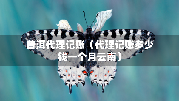 普洱代理記賬（代理記賬多少錢一個月云南）