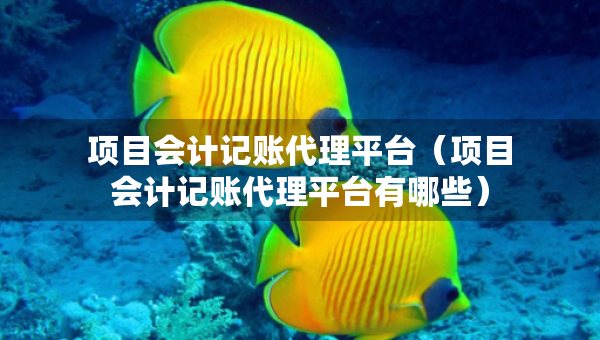 項目會計記賬代理平臺（項目會計記賬代理平臺有哪些）