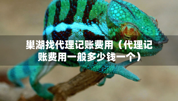 巢湖找代理記賬費(fèi)用（代理記賬費(fèi)用一般多少錢一個(gè)）