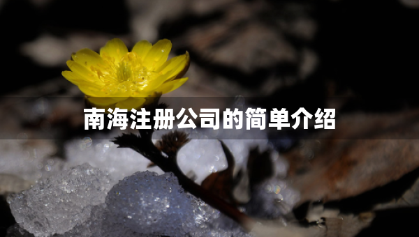 南海注冊(cè)公司的簡(jiǎn)單介紹
