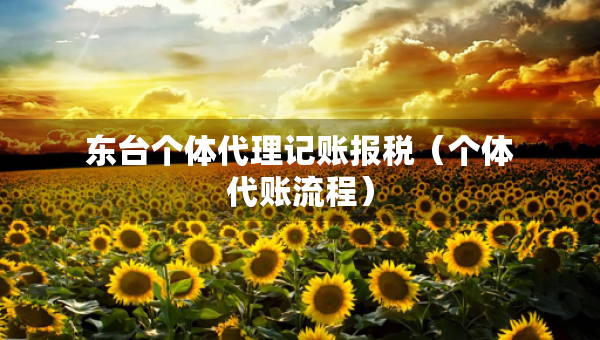 東臺(tái)個(gè)體代理記賬報(bào)稅（個(gè)體代賬流程）