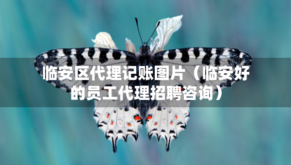臨安區(qū)代理記賬圖片（臨安好的員工代理招聘咨詢）