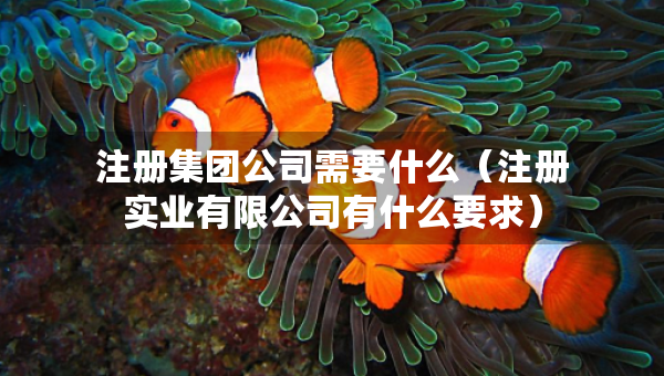 注冊(cè)集團(tuán)公司需要什么（注冊(cè)實(shí)業(yè)有限公司有什么要求）