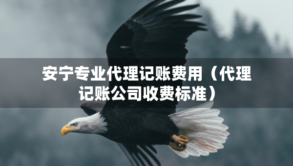安寧專業(yè)代理記賬費(fèi)用（代理記賬公司收費(fèi)標(biāo)準(zhǔn)）