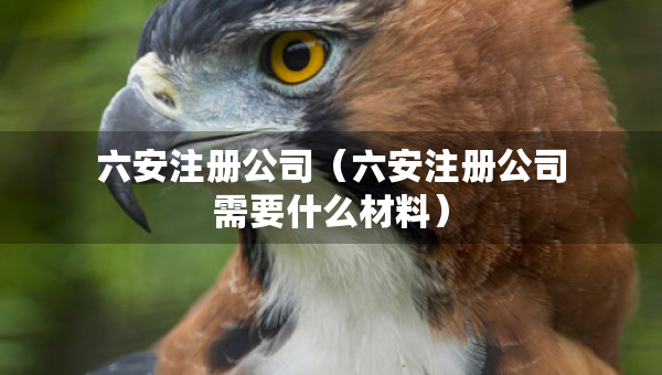 六安注冊公司（六安注冊公司需要什么材料）