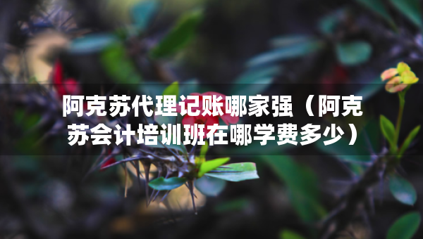 阿克蘇代理記賬哪家強(qiáng)（阿克蘇會計培訓(xùn)班在哪學(xué)費(fèi)多少）