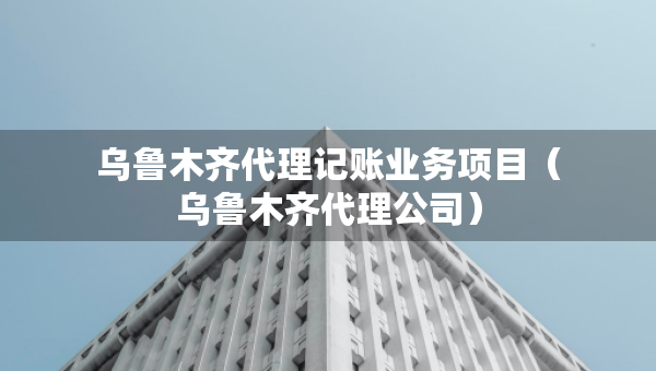 烏魯木齊代理記賬業(yè)務(wù)項(xiàng)目（烏魯木齊代理公司）