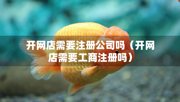 開網(wǎng)店需要注冊(cè)公司嗎（開網(wǎng)店需要工商注冊(cè)嗎）