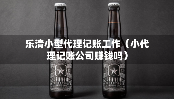 樂(lè)清小型代理記賬工作（小代理記賬公司賺錢(qián)嗎）